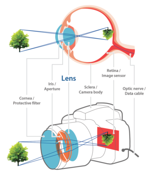 Lens diagram